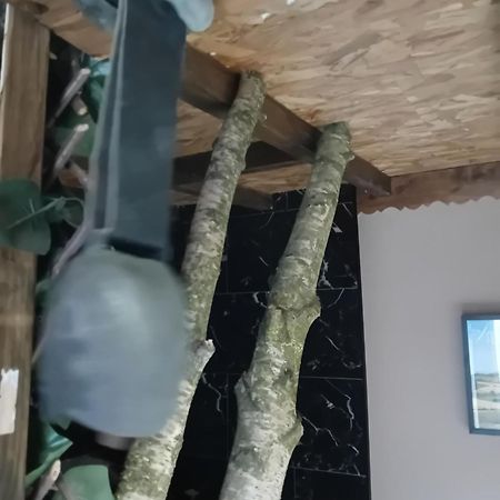 La Grange De Paul Au Domaine Du Reuze Lägenhet Winnezeele Exteriör bild