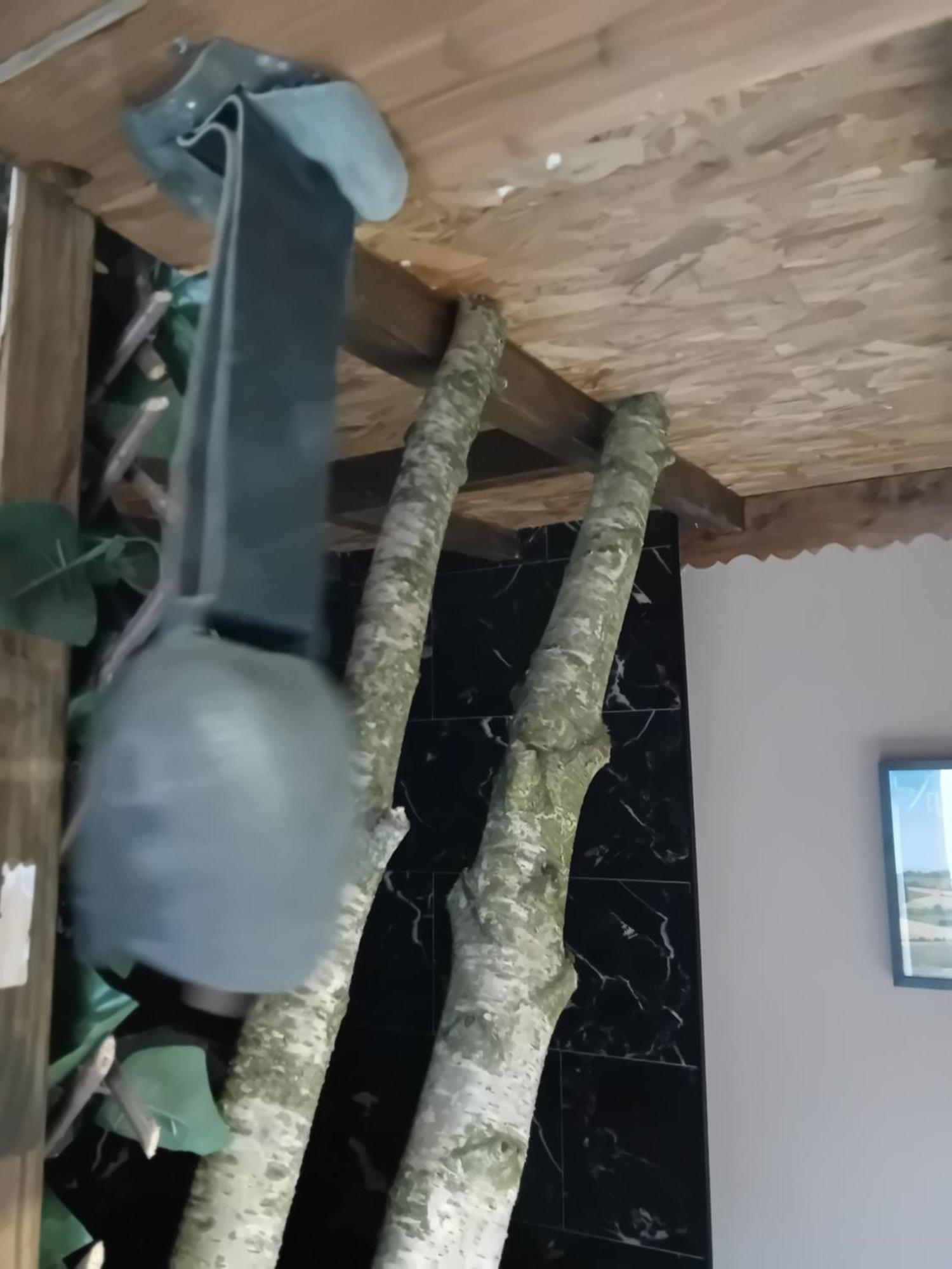 La Grange De Paul Au Domaine Du Reuze Lägenhet Winnezeele Exteriör bild